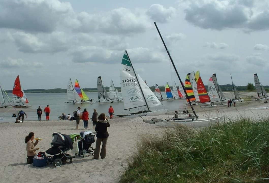 Mitarbeiter und Praktikanten: Segeln, Yachtskipper, Windsurfen, Catamaran, Wingfoiling und Kitesurfen