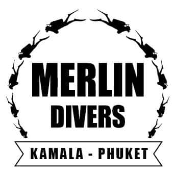 Divemaster Internship - Image 2