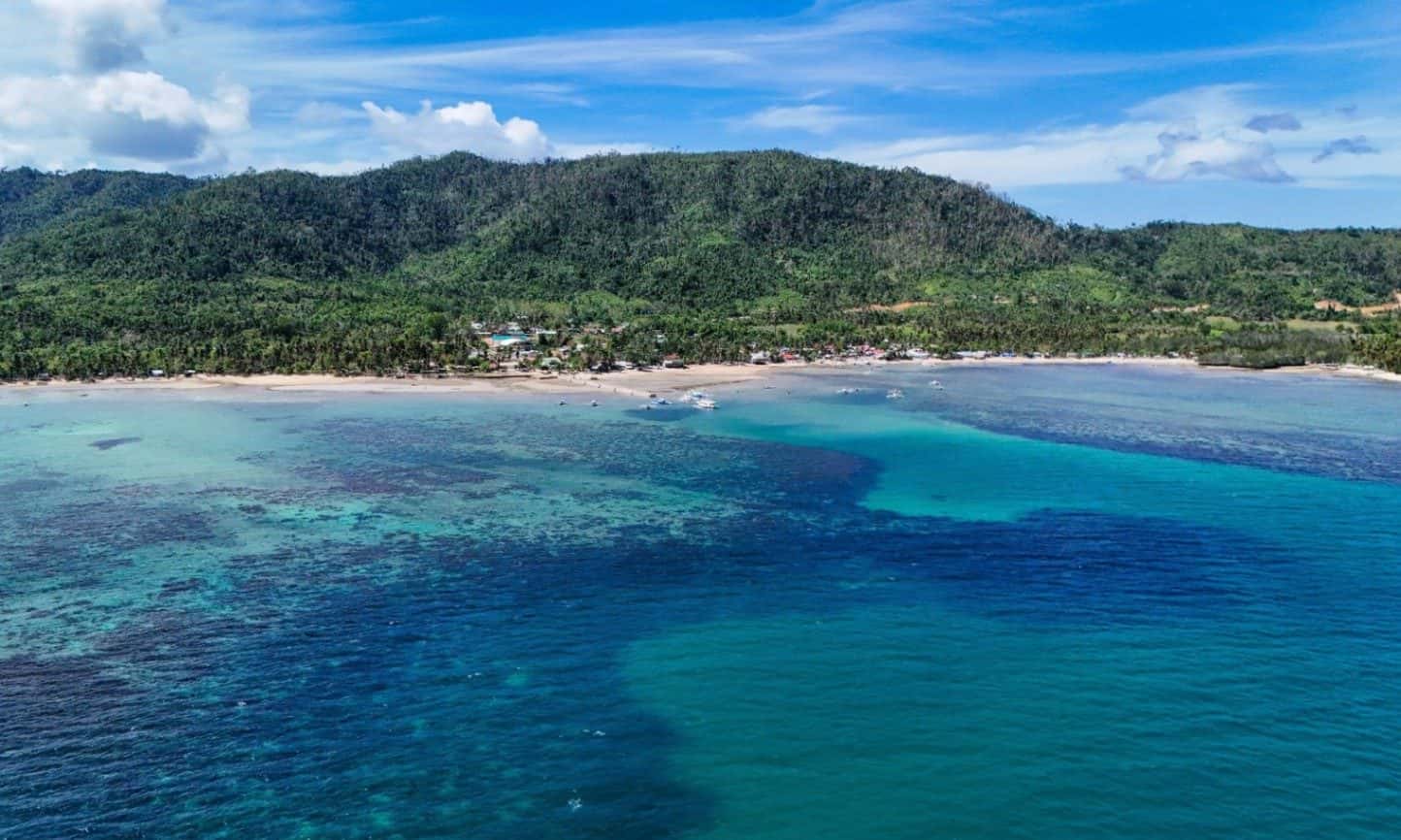 KITESURF INSTRUCTOR WANTED // JAN TO MARCH 2027 - Image 3