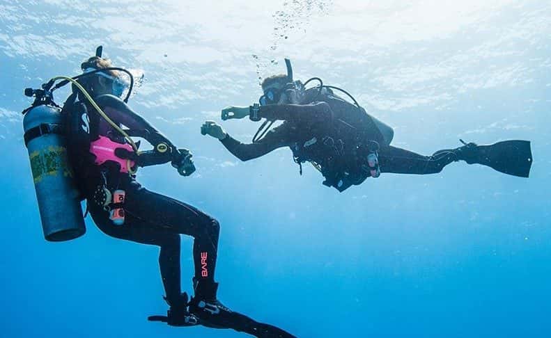 PADI Open Water Scuba Instructor or MSDT