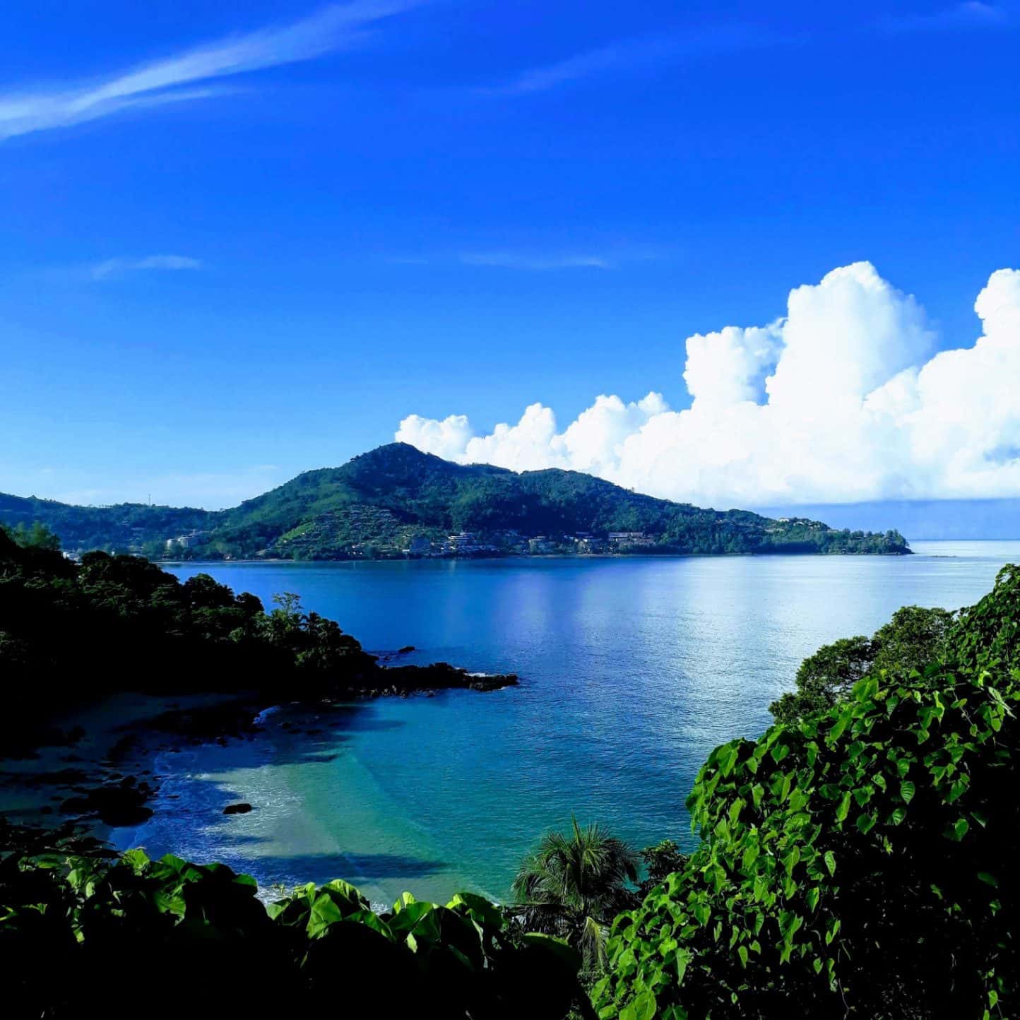 Divemaster Internship